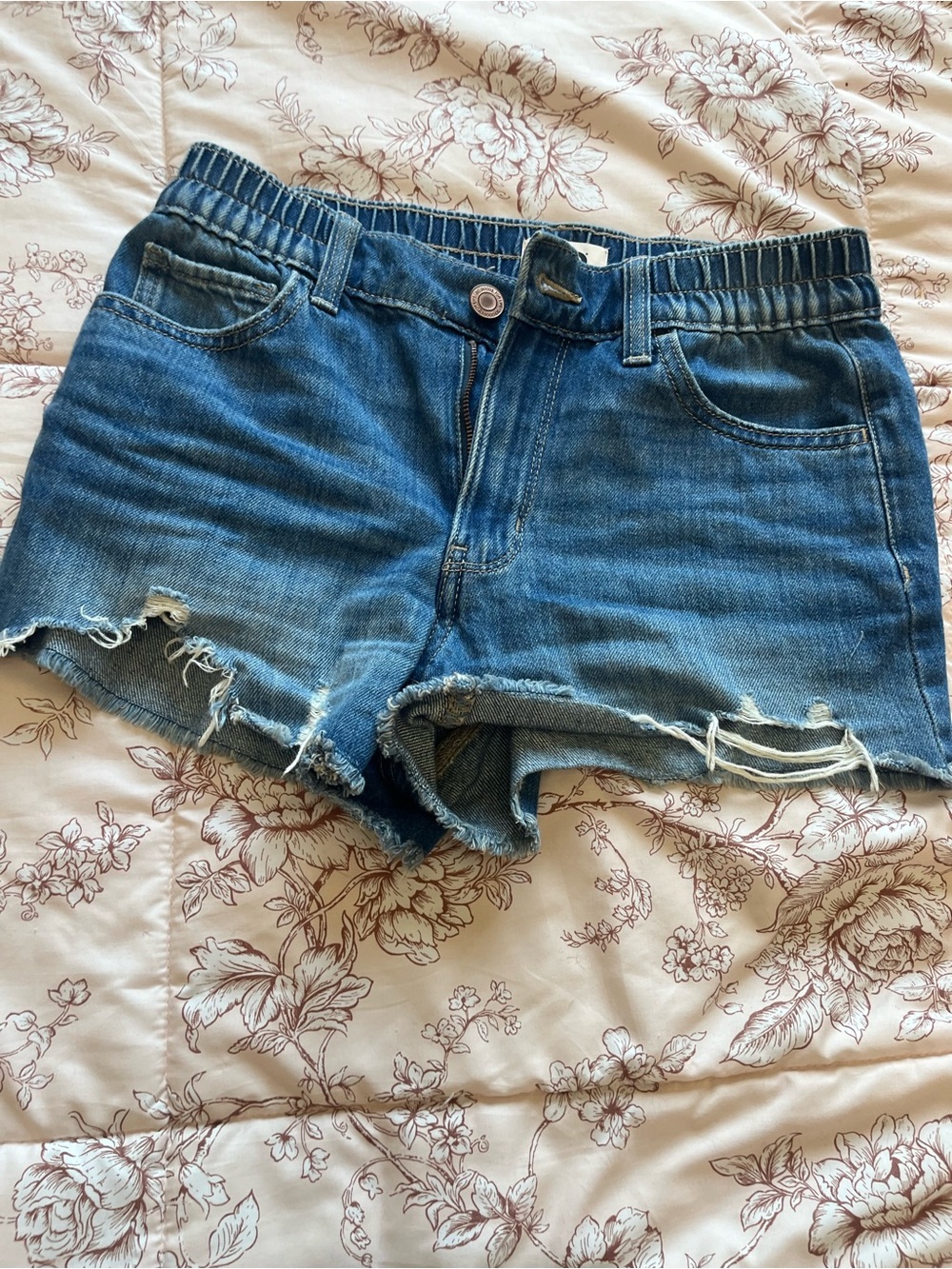 SO Brand Women's Blue Denim Distressed Shorts